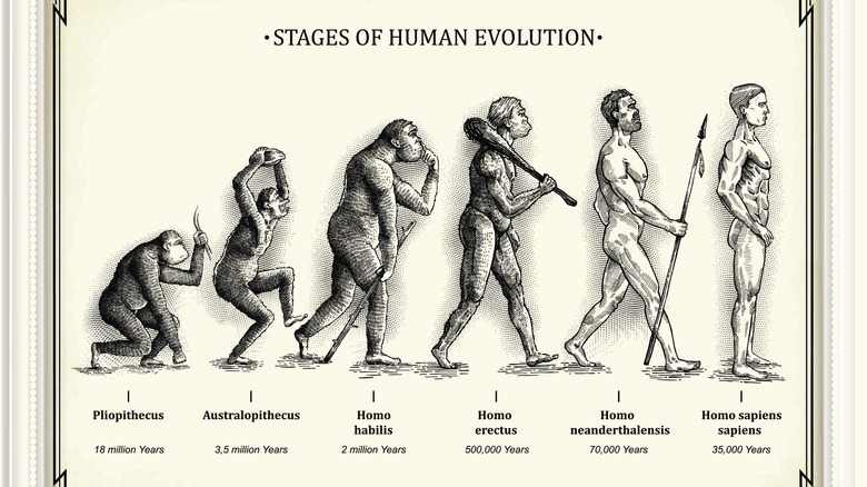 Représentation graphique de six étapes de l'évolution humaine, du primitif au debout