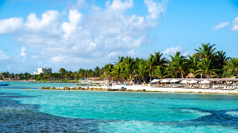 Plage de sable avec palmiers, eau turquoise et ciel bleu clair à Mahahual.