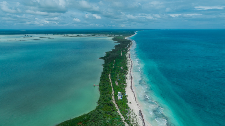 Une vue aérienne de la fine bande de plage et de jungle entourée par la mer et le lagon dans la biosphère de Sian Kaʼan.