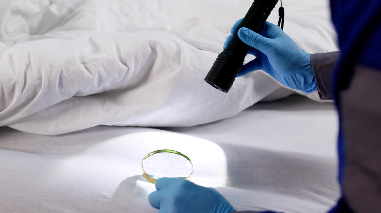 Homme portant des gants bleus à la recherche de punaises de lit sur un matelas avec une lampe de poche et une loupe