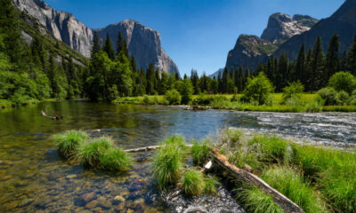 Le parc national le plus populaire de Californie s'est débarrassé des réservations, entraînant une foule massive
