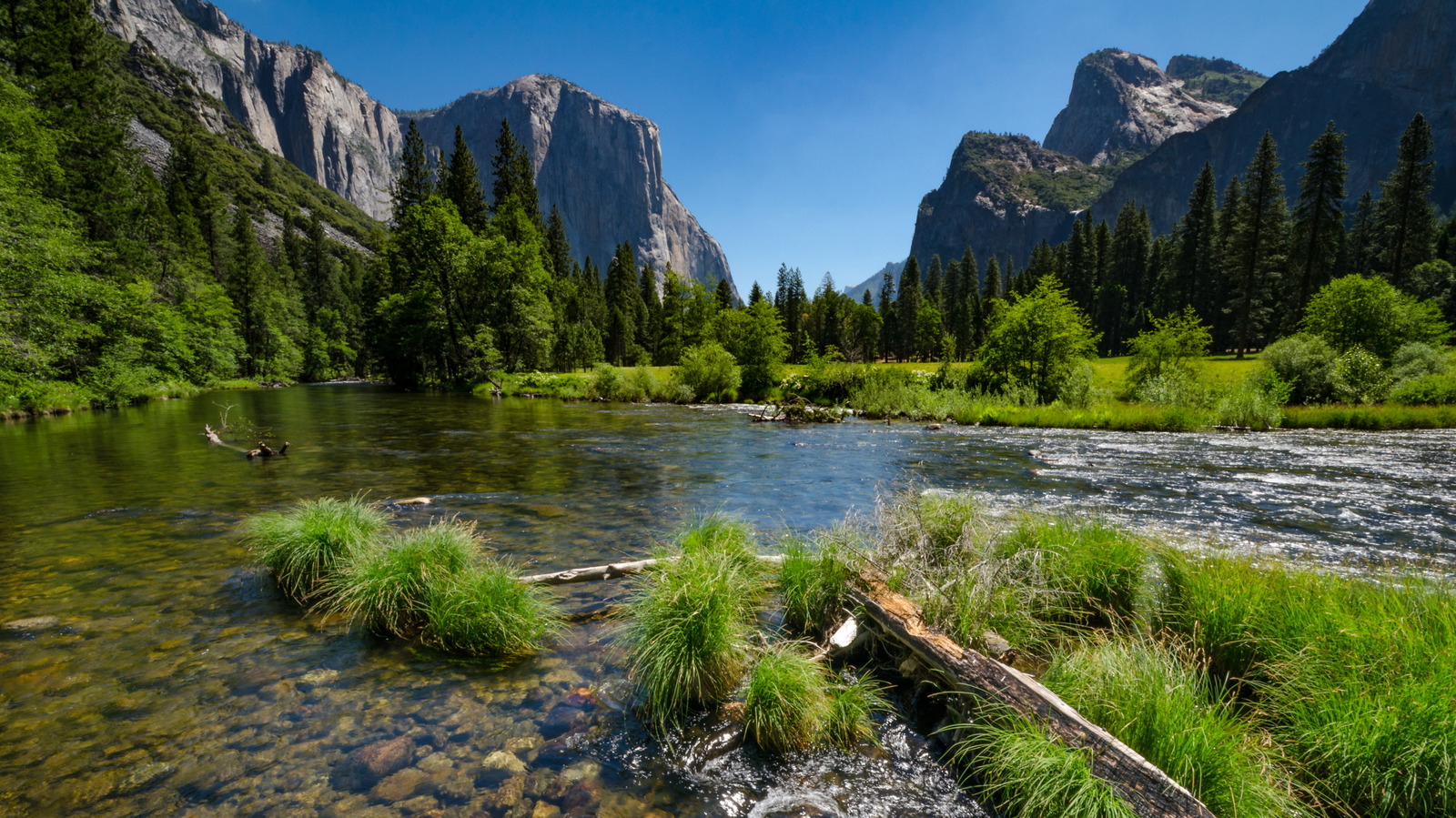 Le parc national le plus populaire de Californie s'est débarrassé des réservations, entraînant une foule massive
