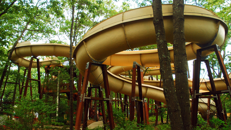 toboggan aquatique à Splish Splash
