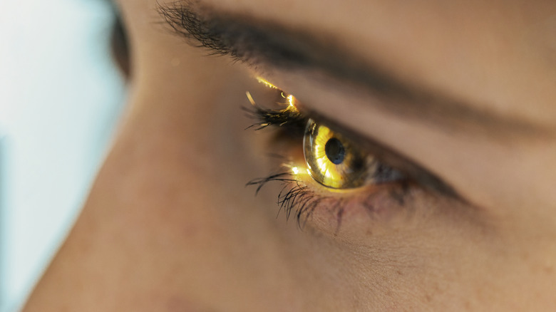 Un gros plan d'une lumière qui brille directement dans les yeux de quelqu'un.