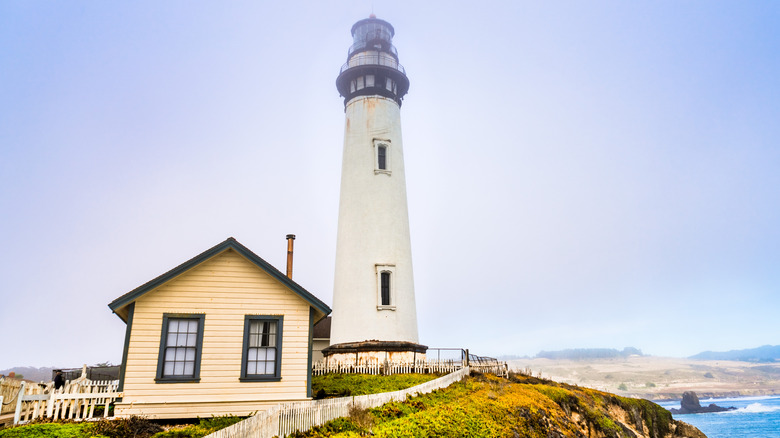 Parc historique d'État du phare de Pigeon Point