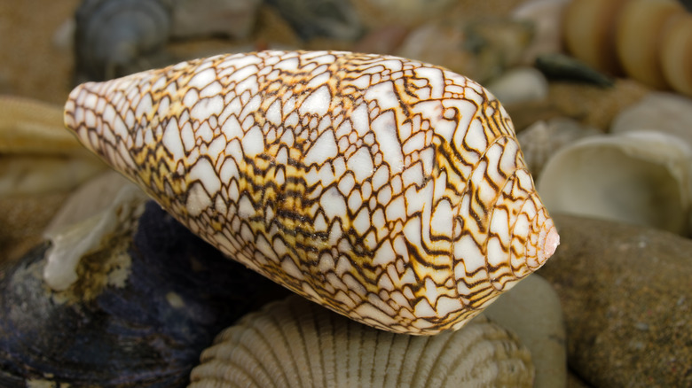 Une coque conique en textile.