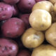 La différence entre les pommes de terre rouges et blanches s'explique facilement par la science