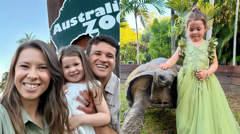 Des photos côte à côte montrent Bindi Irwin posant avec sa fille Grace et son mari Chandler Powell (à gauche) et une photo de Grace posant avec une tortue (à droite).