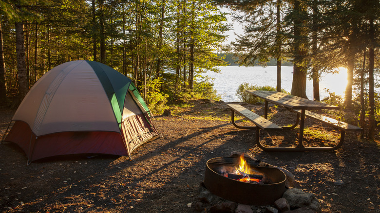 camping au bord d'un lac avec un feu allumé