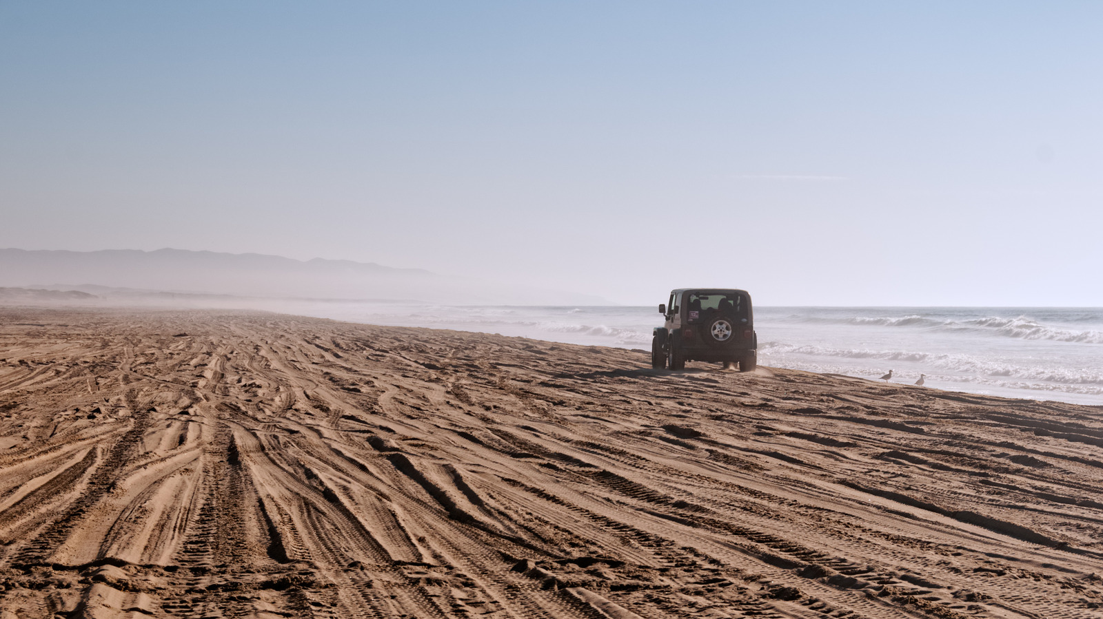 Le seul parc d'État de plage accessible aux véhicules de Californie a rouvert ses portes pour le tout-terrain et le camping