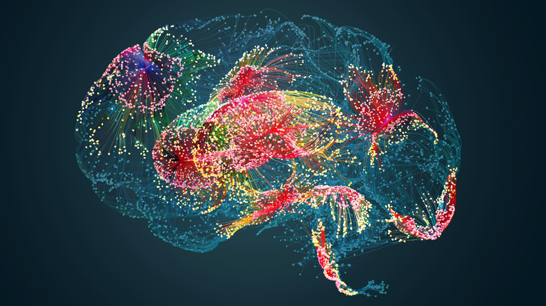 Image abstraite représentant les circuits du cerveau, dans laquelle des sections du cerveau sont éclairées avec différentes couleurs pour représenter l'activité neurologique.
