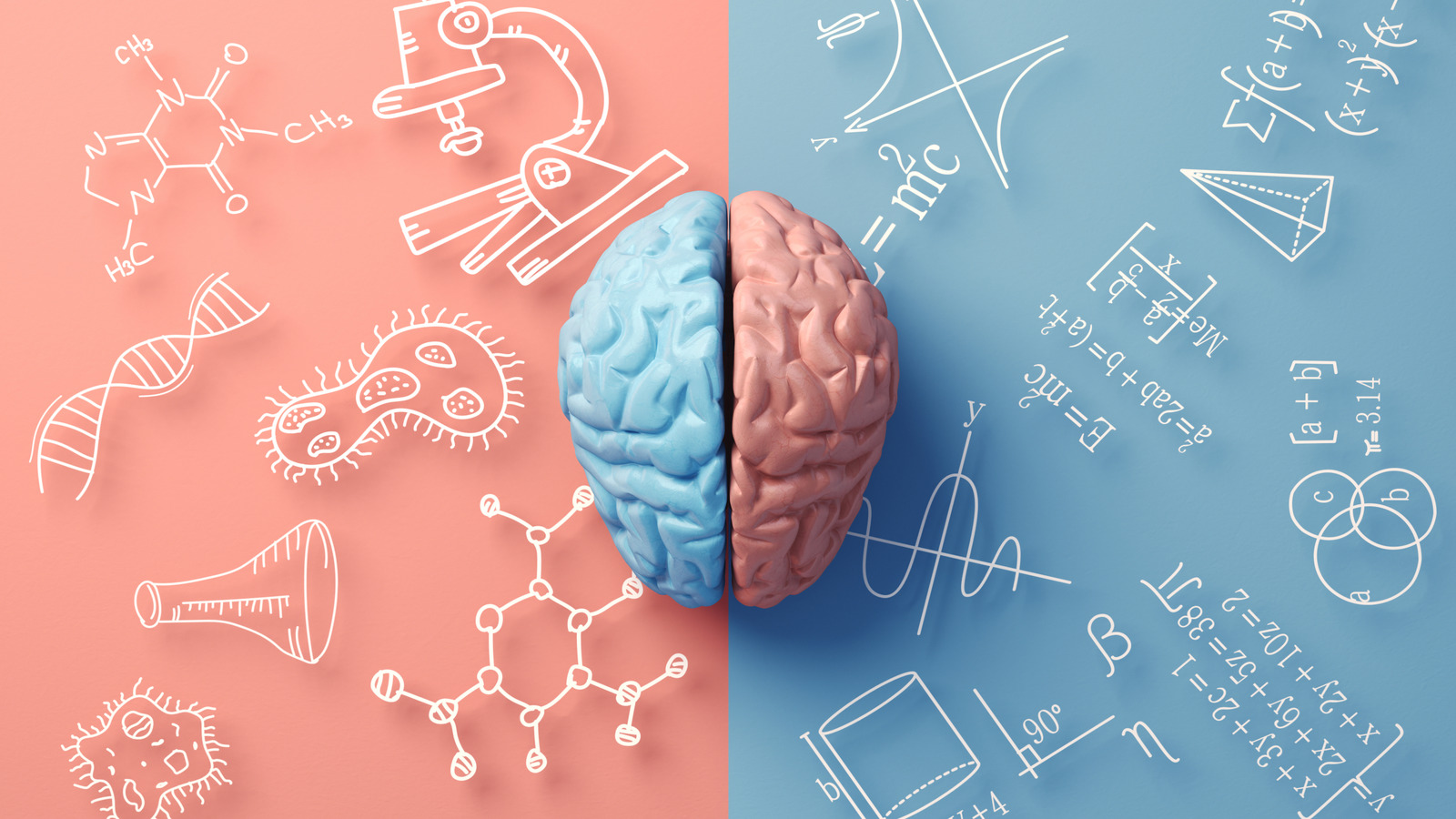 Mystère ou mythe : les gens ont-ils vraiment le cerveau gauche ou droit ?
