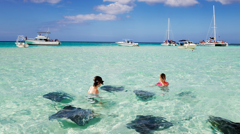 Les enfants aiment jouer avec les raies pastenagues sur le banc de sable au large de Grand Cayman