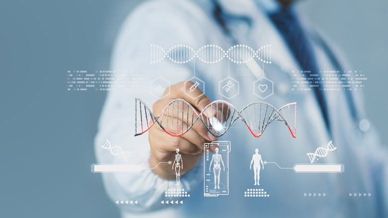 Un scientifique appuie sur un écran transparent et futuriste avec un stylet, montrant l'ADN humain