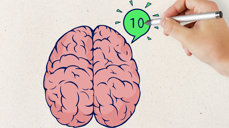 Dessin à la main d'un cerveau avec le chiffre 10 dans une bulle verte en haut à droite