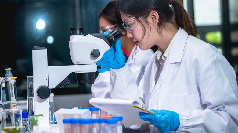 Des scientifiques examinent des échantillons au microscope