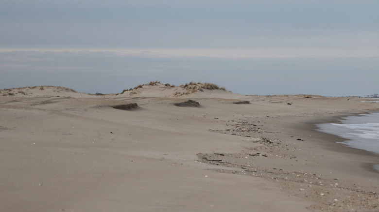 Plage de sable montrant des signes d'érosion