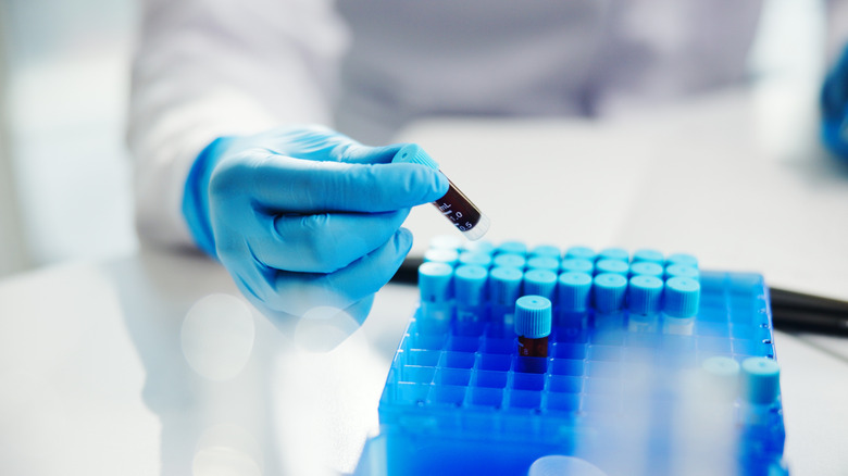 Main gantée triant les flacons de sang en laboratoire