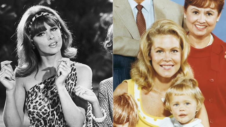 Tina Louise dans "L'île de Gilligan" et le casting de "Enchanté"