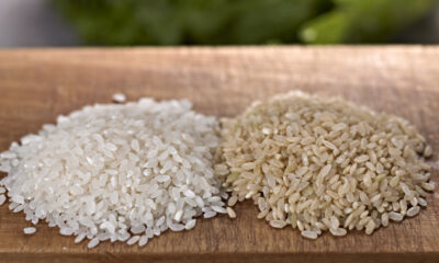 La différence entre le riz blanc et le riz brun s'explique facilement par la science