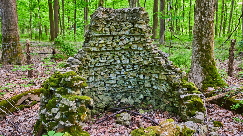 Structure en ruine entourée d'une forêt verdoyante