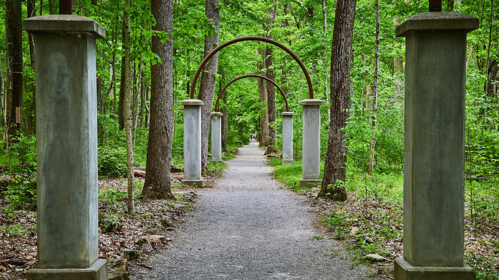 Le parc d'État de l'Indiana cache un parc d'attractions abandonné vieux de 100 ans avec des sentiers de randonnée