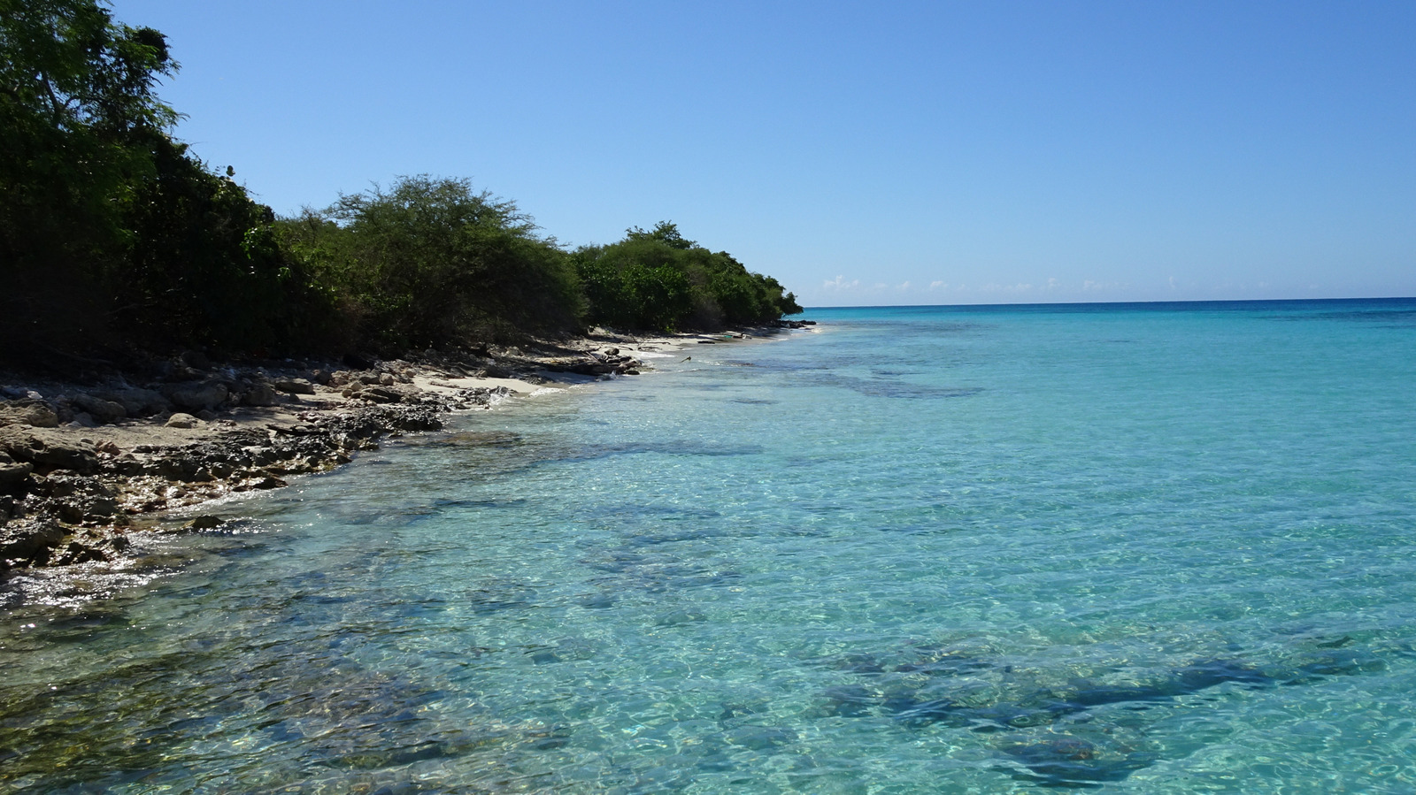 Oubliez Hawaï, visitez l'île moins connue de Porto Rico aux eaux cristallines des Caraïbes