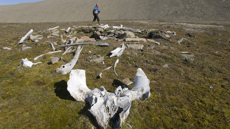 Un paysage de l’île Devon avec une personne marchant en arrière-plan.
