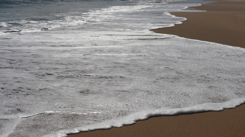 Les eaux de marée montent sur une plage