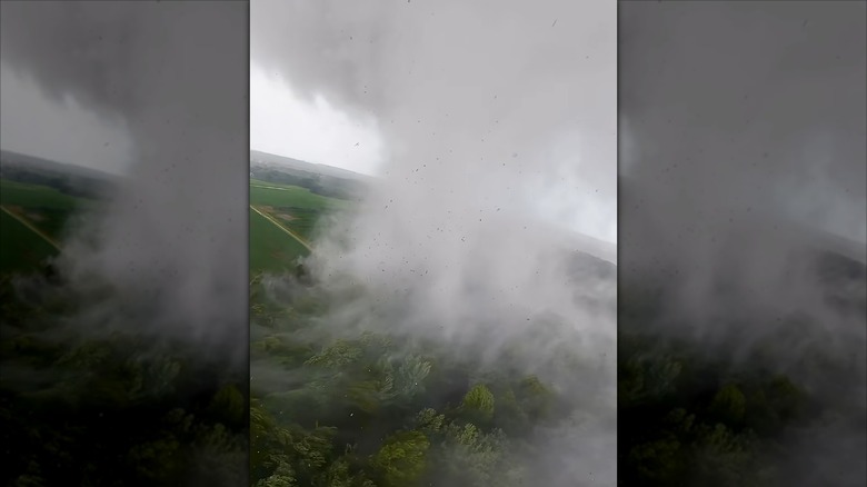 Un drone du projet OTUS s'approche d'une tornade au moment où elle se forme complètement au-dessus d'une parcelle d'arbres