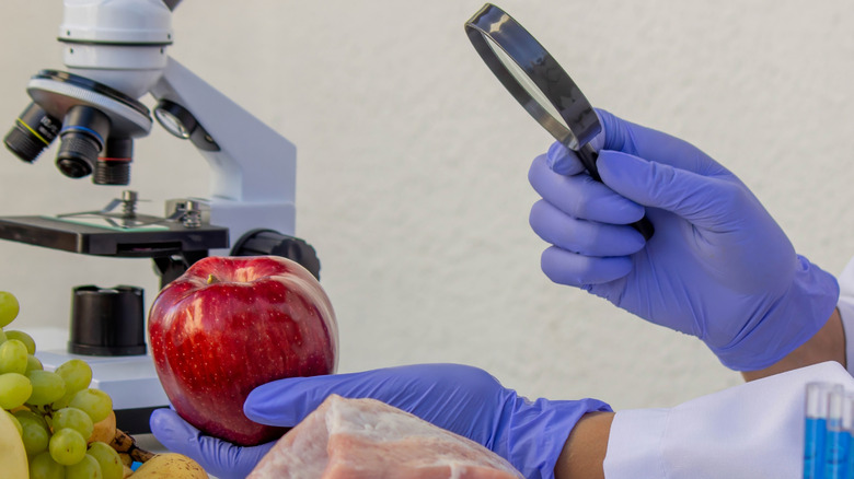 Personne examinant une pomme avec une loupe