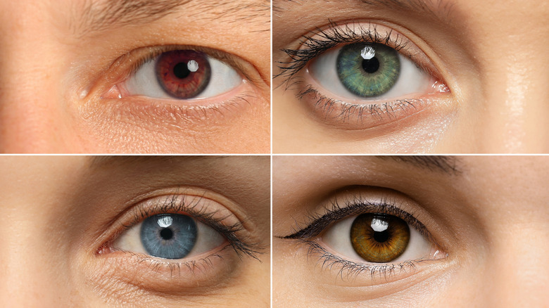 Gros plan sur les différentes couleurs des yeux de quatre personnes