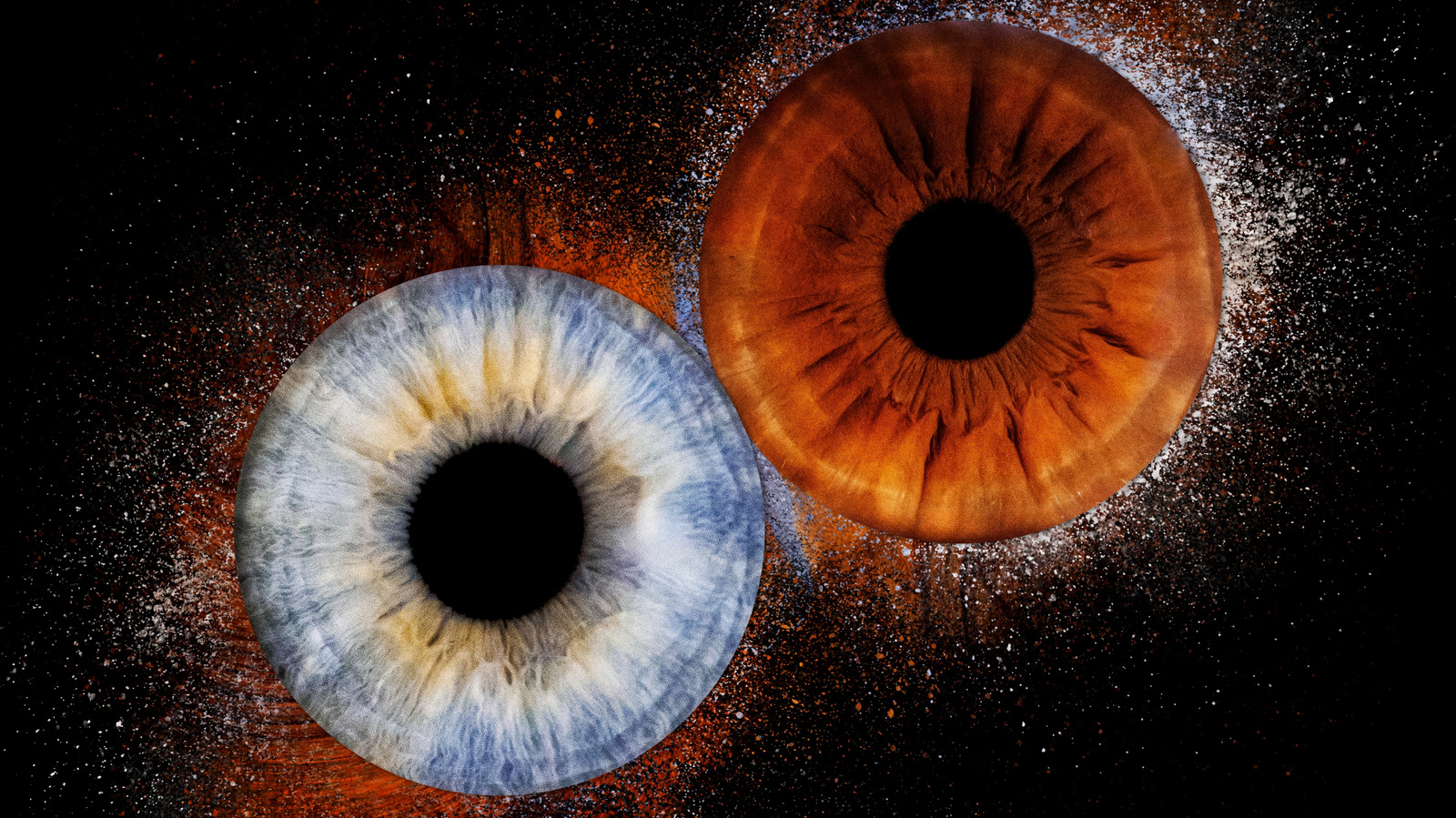 La différence entre les yeux bleus et bruns s’explique facilement par la science