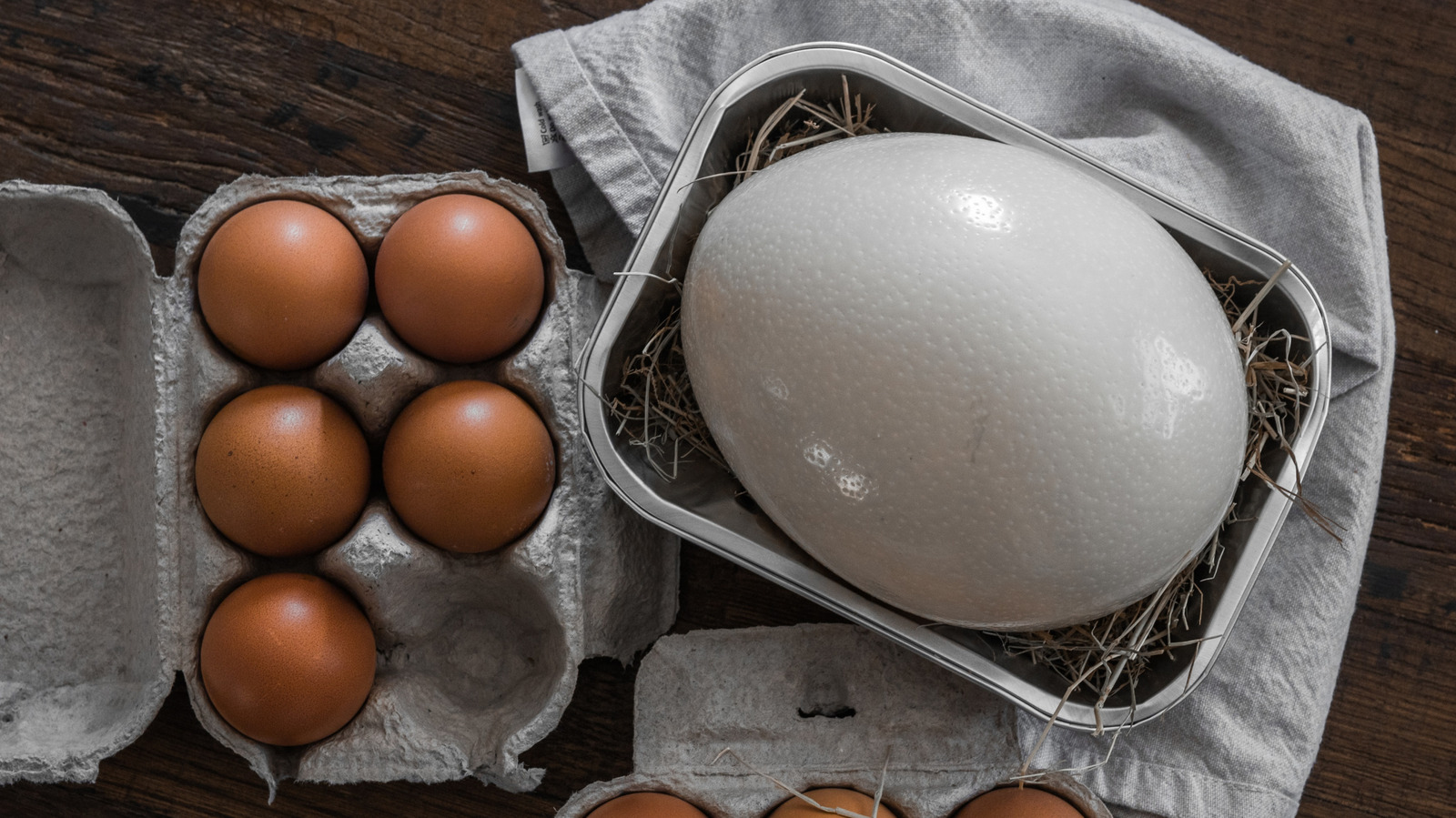 La différence entre les œufs d’autruche et de poule ne se limite pas à la taille