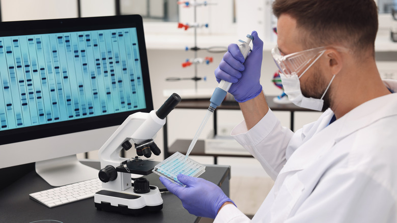 Chercheur étudiant l’information génétique dans un laboratoire