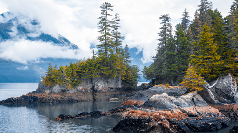 Rochers et île dans Resurrection Bay, Alaska