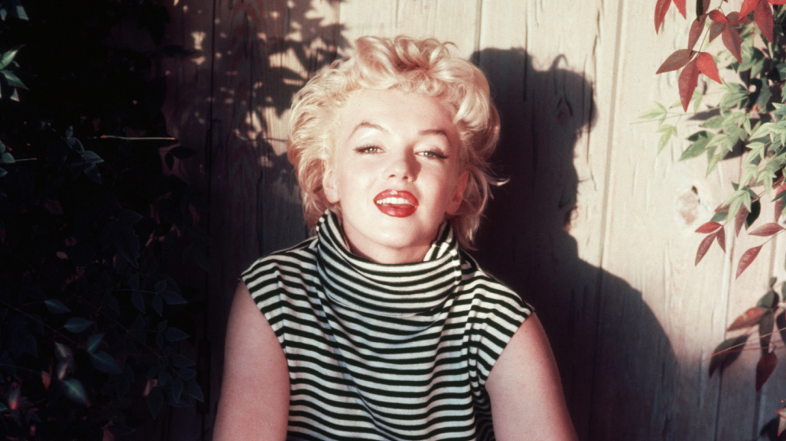 Marilyn Monroe voulait des enfants mais son parcours de conception s'est terminé par un chagrin