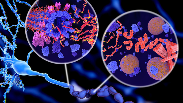 Illustration d'une protéine tau pathologique conduisant à la désintégration des microtubules et à la formation d'agrégats de tau hyperphosphorylés.