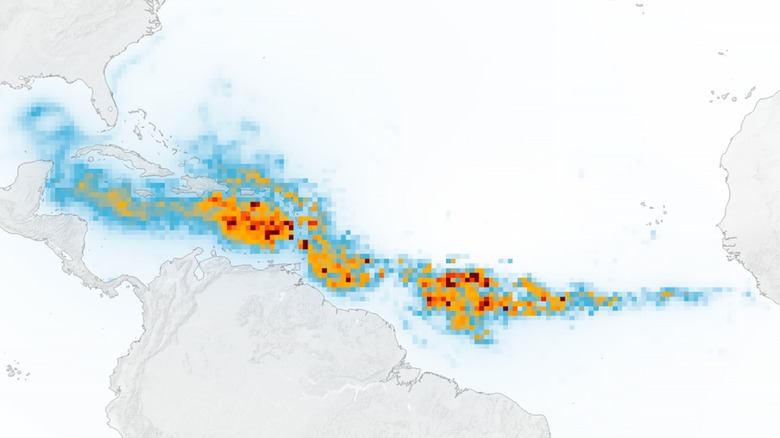 Image satellite montrant la ceinture de sargasses du Grand Atlantique