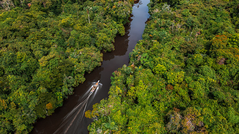 Un bateau traversant la forêt tropicale de l'Amazonie péruvienne, sur la rivière Nanay