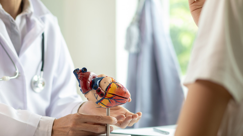 Médecin parlant avec le patient tout en présentant un modèle du cœur