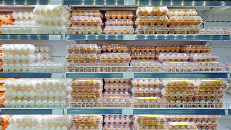 Paquets d'œufs dans le réfrigérateur du supermarché