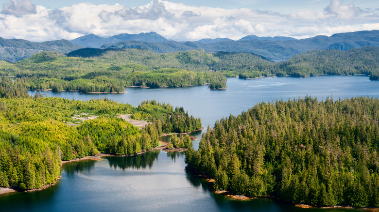 Une vue aérienne de l'île Prince de Galles, en Alaska.