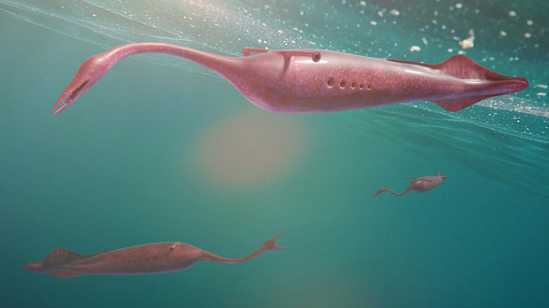 Une illustration de trois monstres Tully nageant.