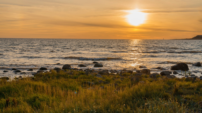Côte herbeuse et rocheuse de Gotland au coucher du soleil