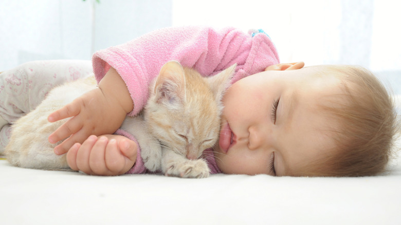 Un bébé câlinant un chaton