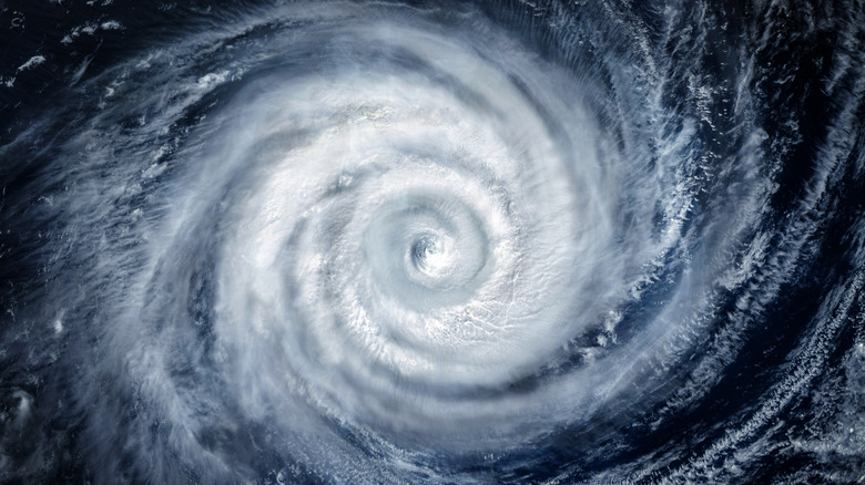 Une vue satellite d'un typhon.