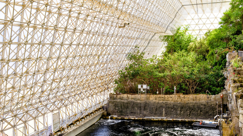Vue intérieure des arbres et de l'eau à l'intérieur de la Biosphère 2