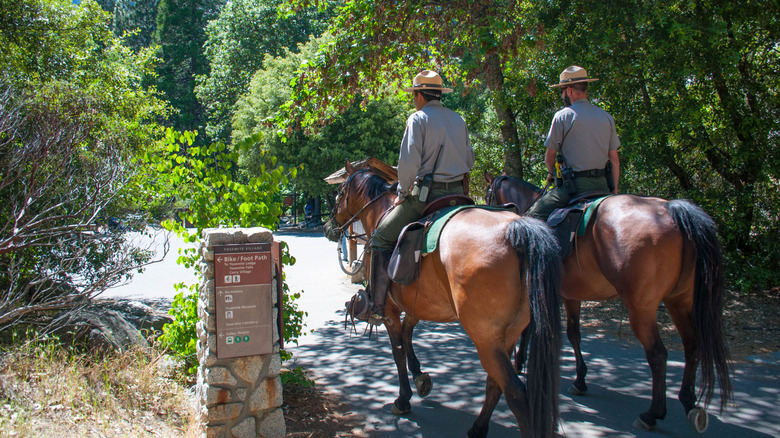 Rangers de Yosemite à cheval