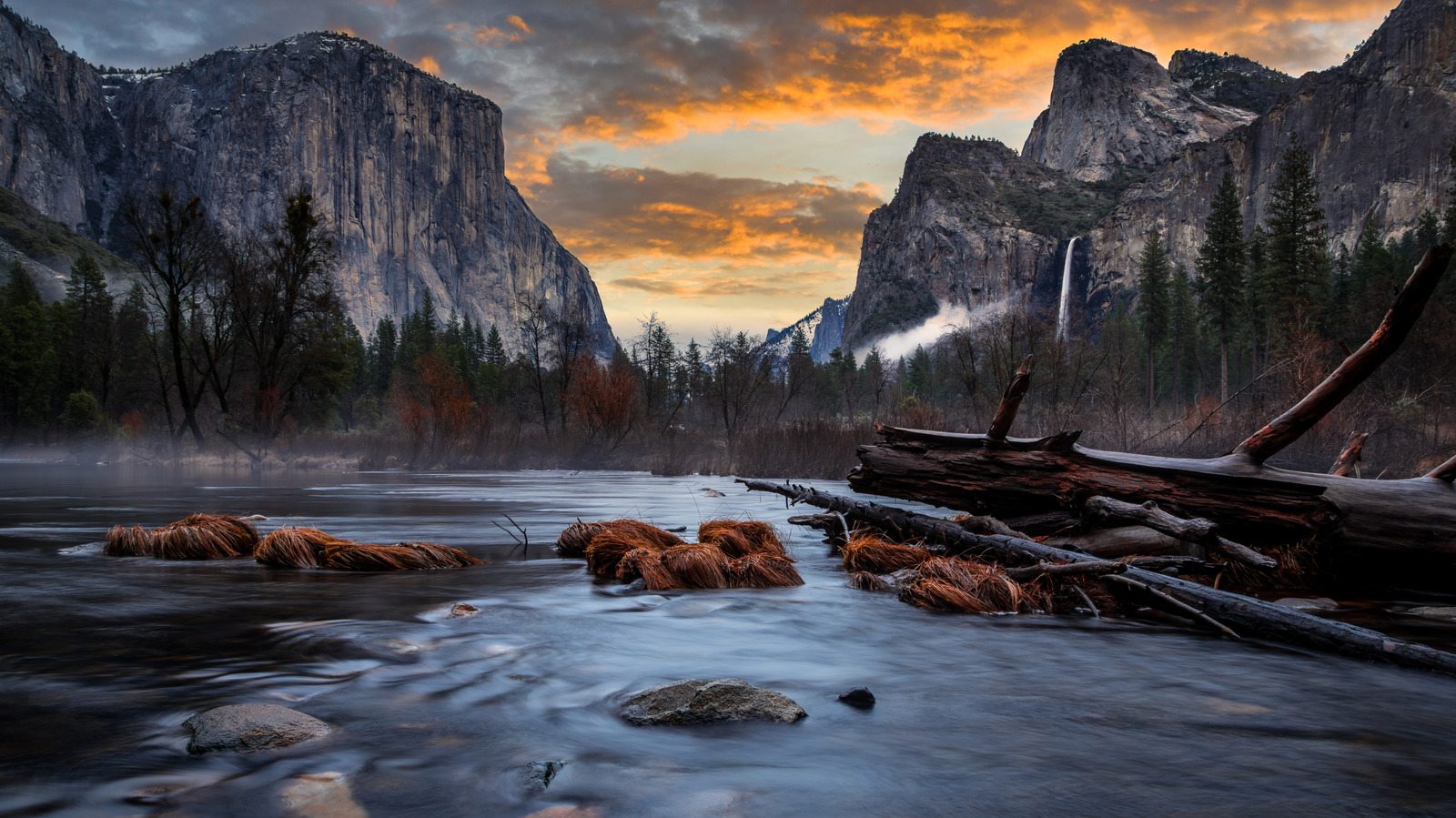 4 plaintes courantes des visiteurs concernant le parc national de Yosemite